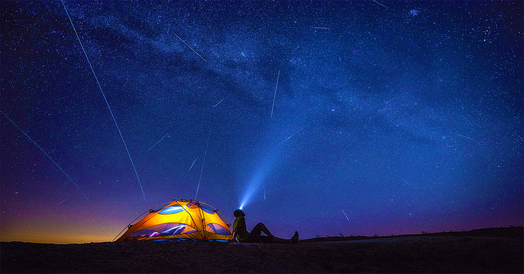 Delhiites, You Can Witness A Meteor Shower This December Without Going ...