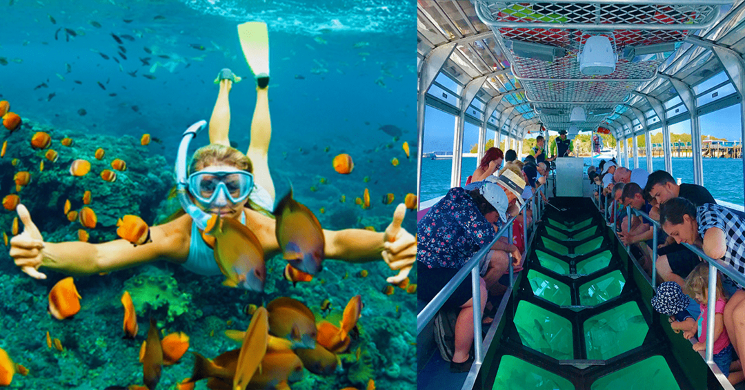 Glass Bottom Boat Snorkeling Tour in Mauritius: Your Guide to Explore