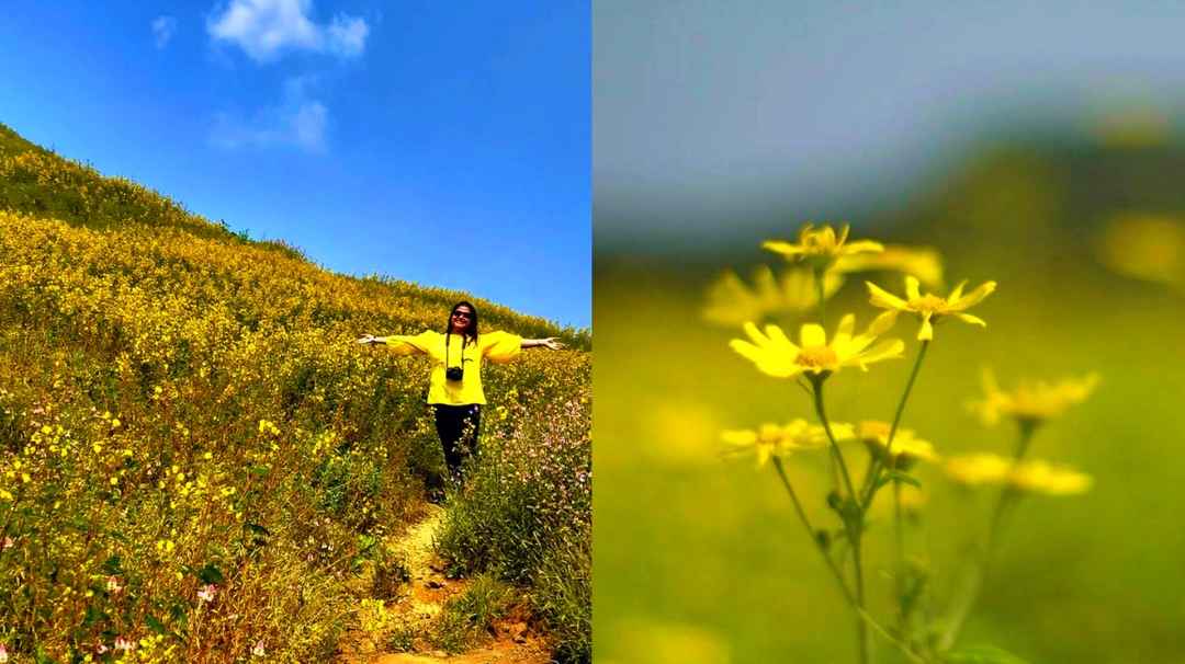I Bet you Dont know About This Hidden Valley of Flower Just Few Hours