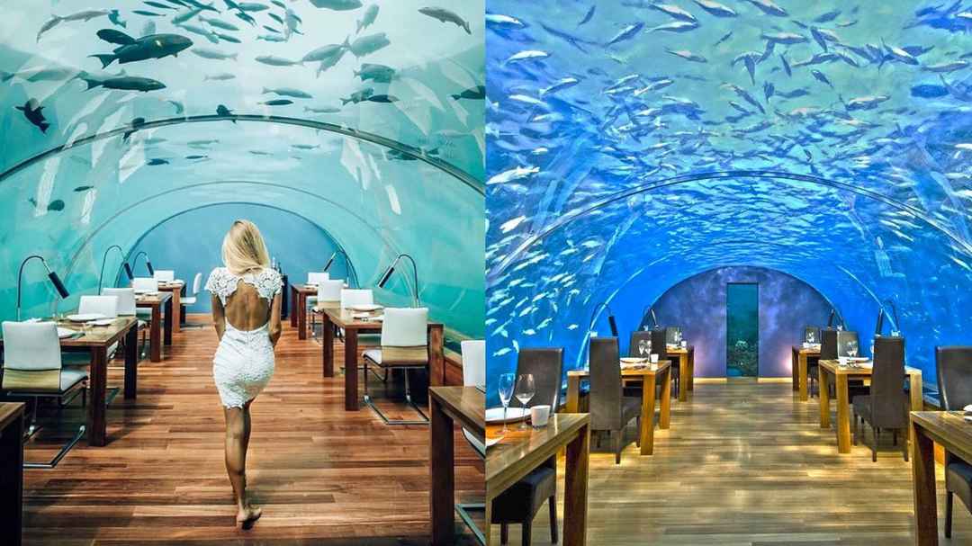 This is what its like to dine underwater in the Maldives - Tripoto