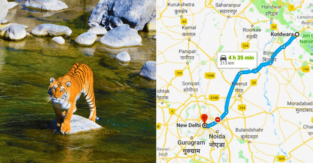 Attention Delhiites Now Jim Corbett Is Only 5 Hours Away Tripoto   1552916791 Jc Min 