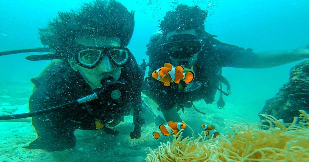Scuba Diving Experience In Krabi Thailand Thailandinpictures Tripoto