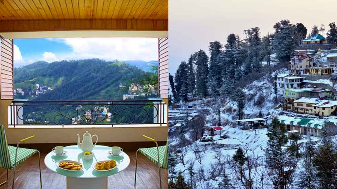 Luxurious 7-Star Comfort: Indulge in the Plush Embrace of Microfiber Armchairs