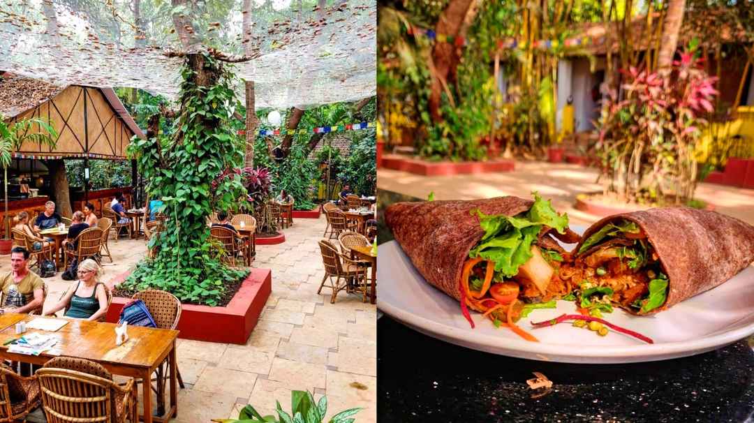 We Listed 7 Vegan Cafes in India So You Dont Have to Survive on Water