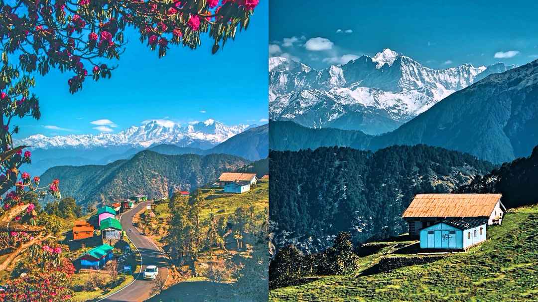 Chopta, the Unsung Paradise in Uttarakhand That No One Talks About