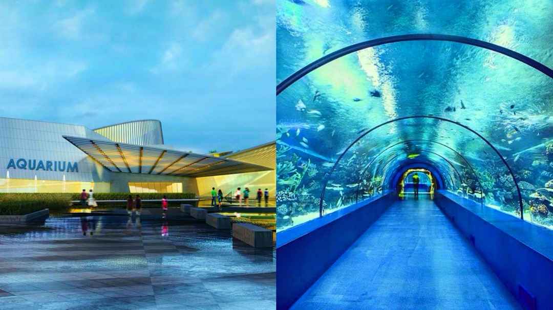 First-of-its-Kind Aquatic and Robotic Gallery Opens at Science City ...
