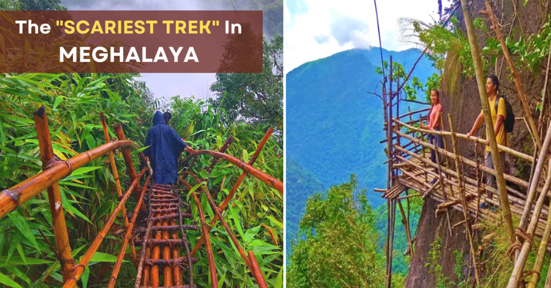 All You Need To Know About Bamboo Trek, Meghalaya Tripoto