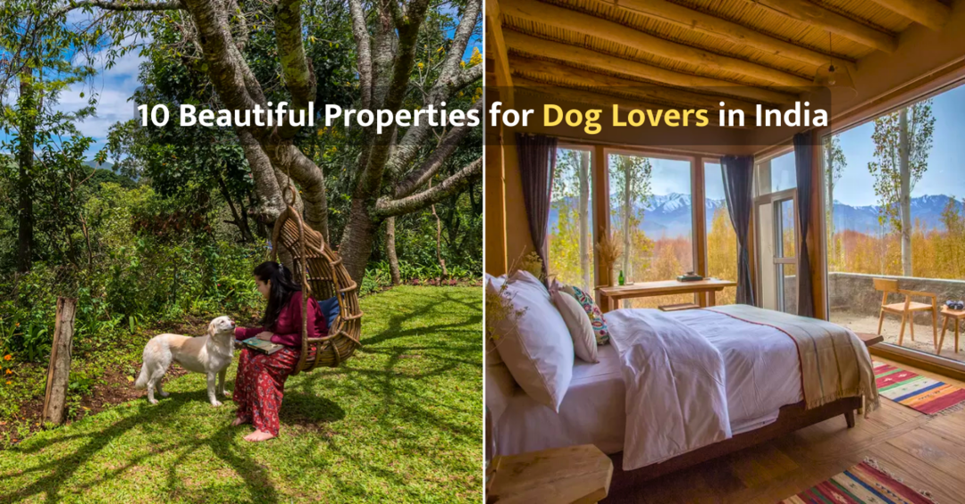 Goa homestays goan Goa homestays goan