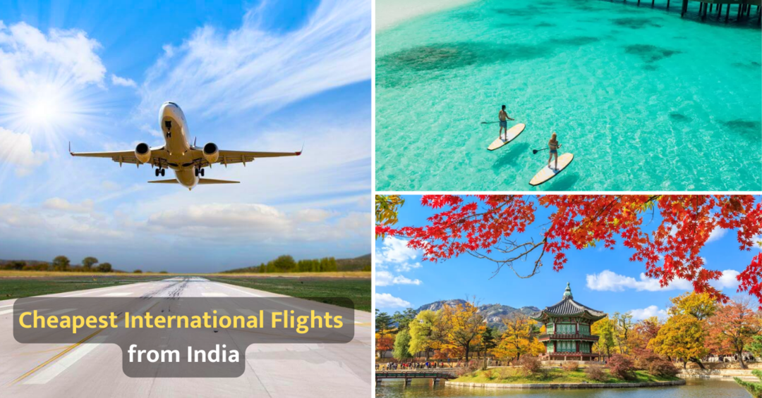 Planning For An International Trip In Nov Dec 2023 Here Are Some of the