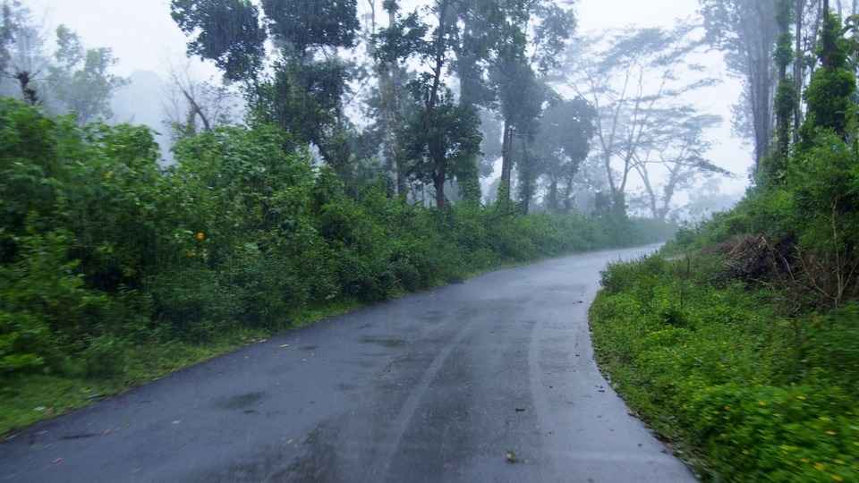 Through the mystic roads of Coorg - Tripoto