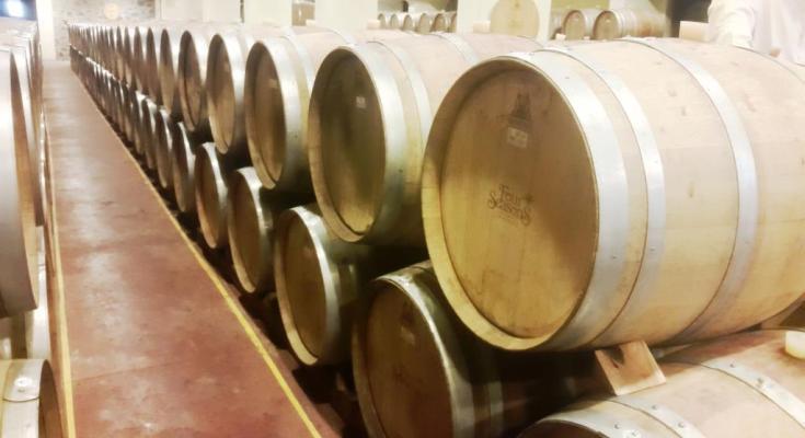 Theurbanescapadesvineyardstory A Trip To Four Seasons Winery Roti Baramati Tripoto The four seasons wine cellar. four seasons winery roti baramati