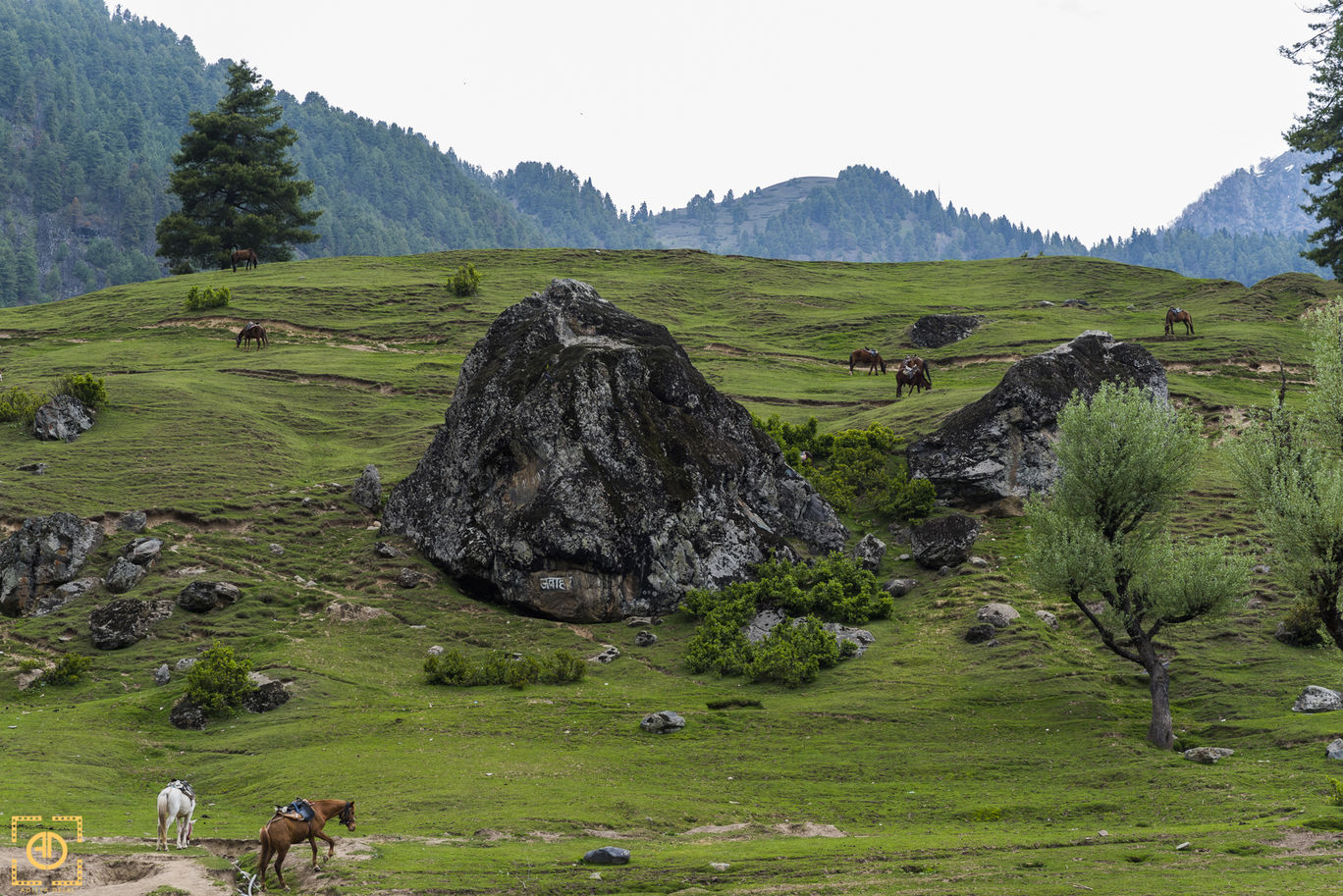 kashmir the paradise of india Jammu and kashmir, india's one of the most picturesque state lies on the peaks of kashmir – a heaven on earth kashmir is also honeymooners’ paradise,. kashmir the paradise of india Jammu and kashmir, india's one of the most picturesque state lies on the peaks of kashmir – a heaven on earth kashmir is also honeymooners’ paradise,.