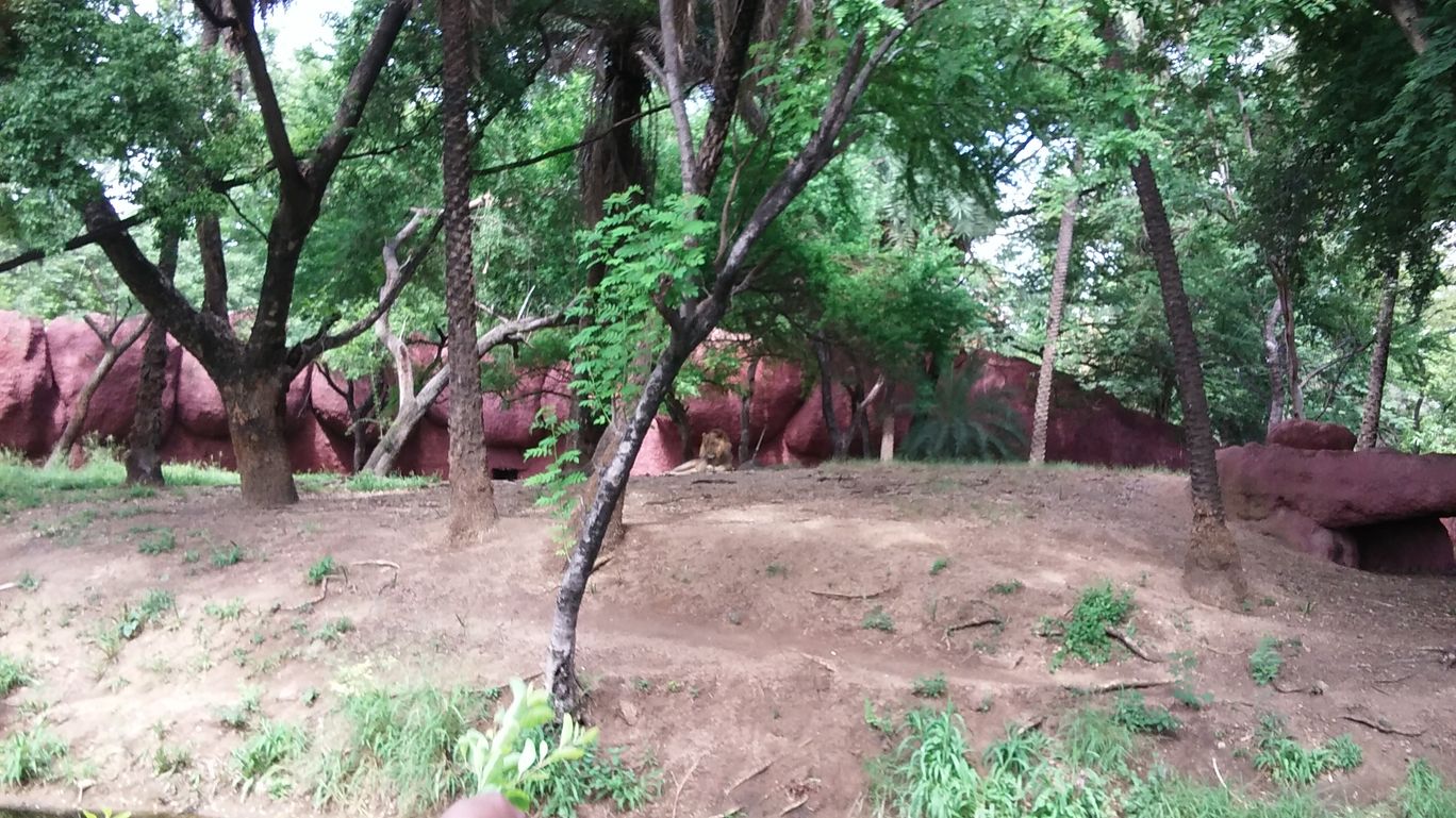Nehru Zoological Park Hyderabad by Vinay Tripoto