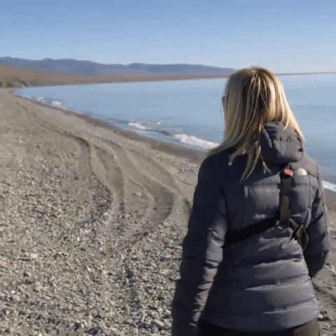 Photo of 11 reasons why you s