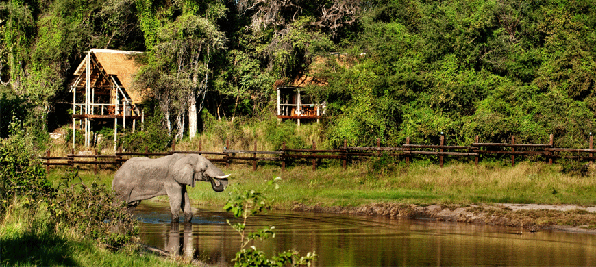 Photo of Savute Elephant Camp, Chobe National Park, Chobe, North West, Botswana by Amanda