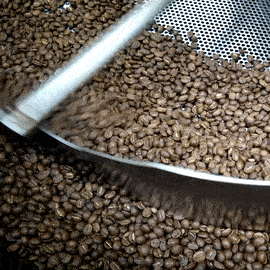 Photo of Different Caffeine Cultures around the world by Uma_Krishanwal