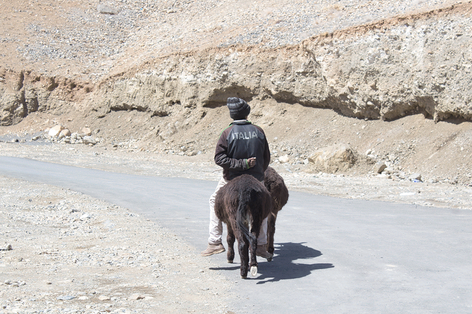 Photo of Spiti Valley, Marango Rangarik, Himachal Pradesh by mukesh kumar