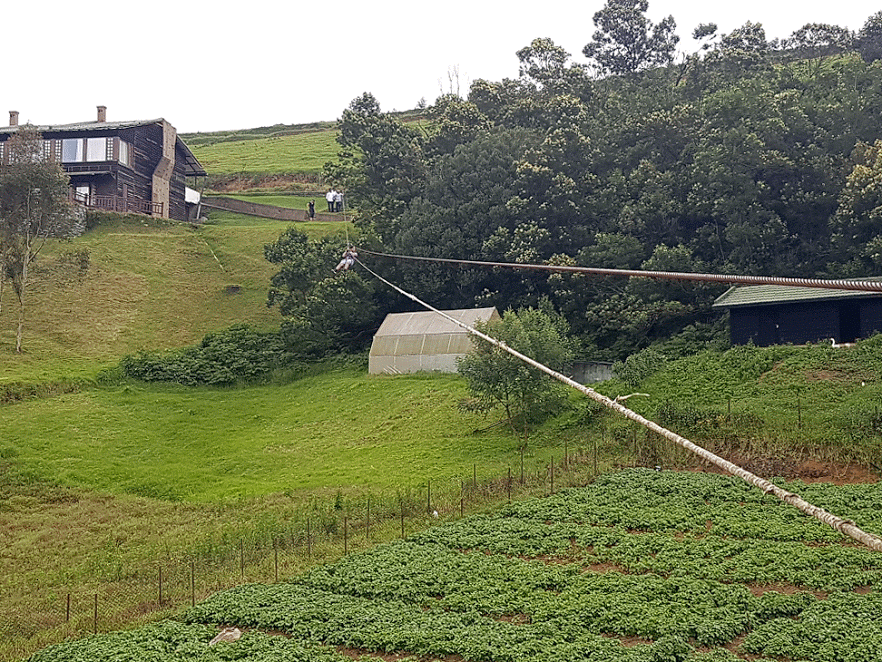 Photo of Journey to the secluded heaven- Destiny Farms, Ooty (Tamil Nadu, India) 4/8 by Srashti Suneriya Mittal
