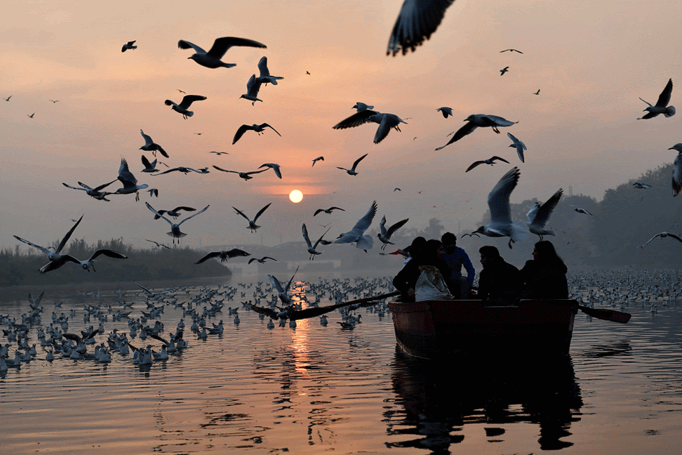 Photo of Nigambodh Ghat By Anurag Priyadarshi