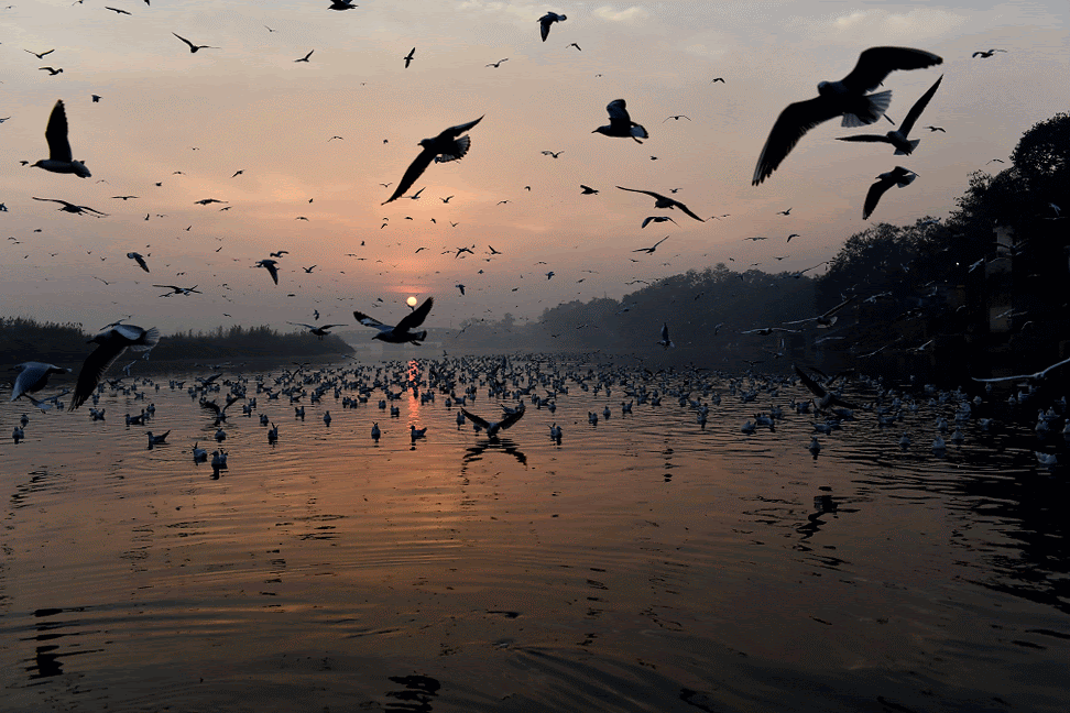 Photo of Nigambodh Ghat By Anurag Priyadarshi