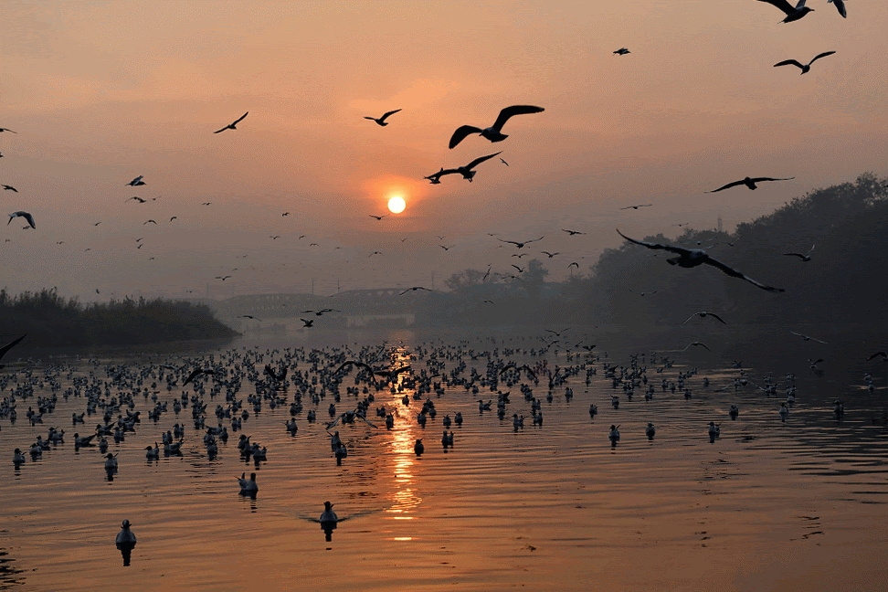 Photo of Nigambodh Ghat By Anurag Priyadarshi