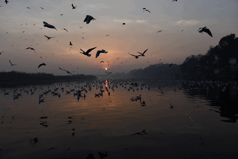 Photo of Nigambodh Ghat By Anurag Priyadarshi