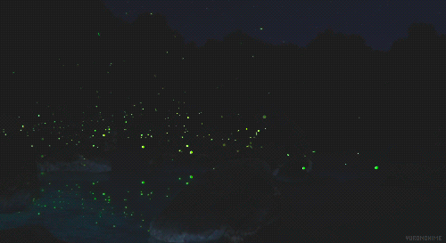 Photo of Rajmachi Fort: Trek with the Fireflies This Monsoon by Pritha Puri