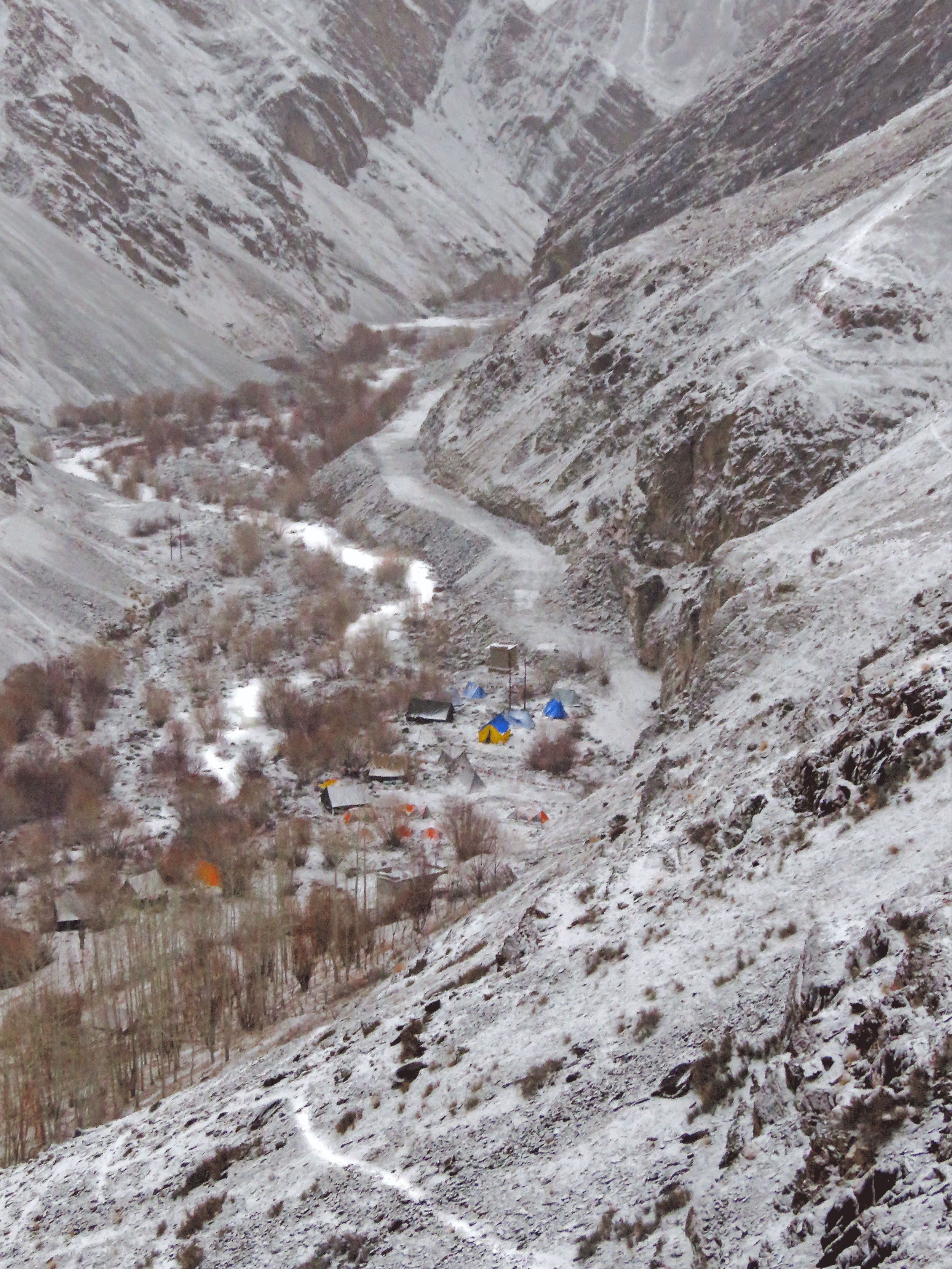 Snow Leopard Quest, Ladakh - Tripoto