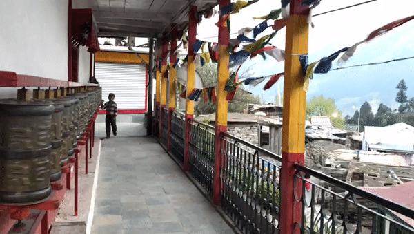 Photo of A solo trip to Kinnaur - Kalpa, Rakchham and Chitkul 19/85 by Vikas Singh