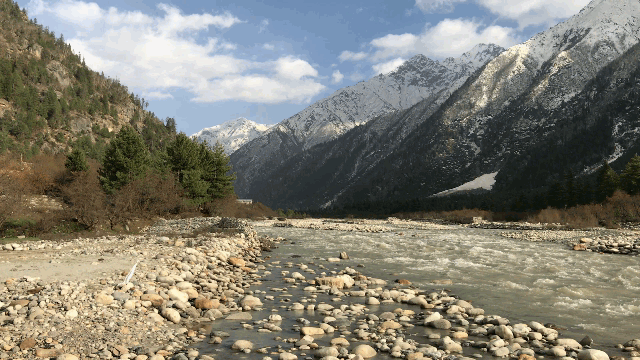 Photo of A solo trip to Kinnaur - Kalpa, Rakchham and Chitkul 64/85 by Vikas Singh