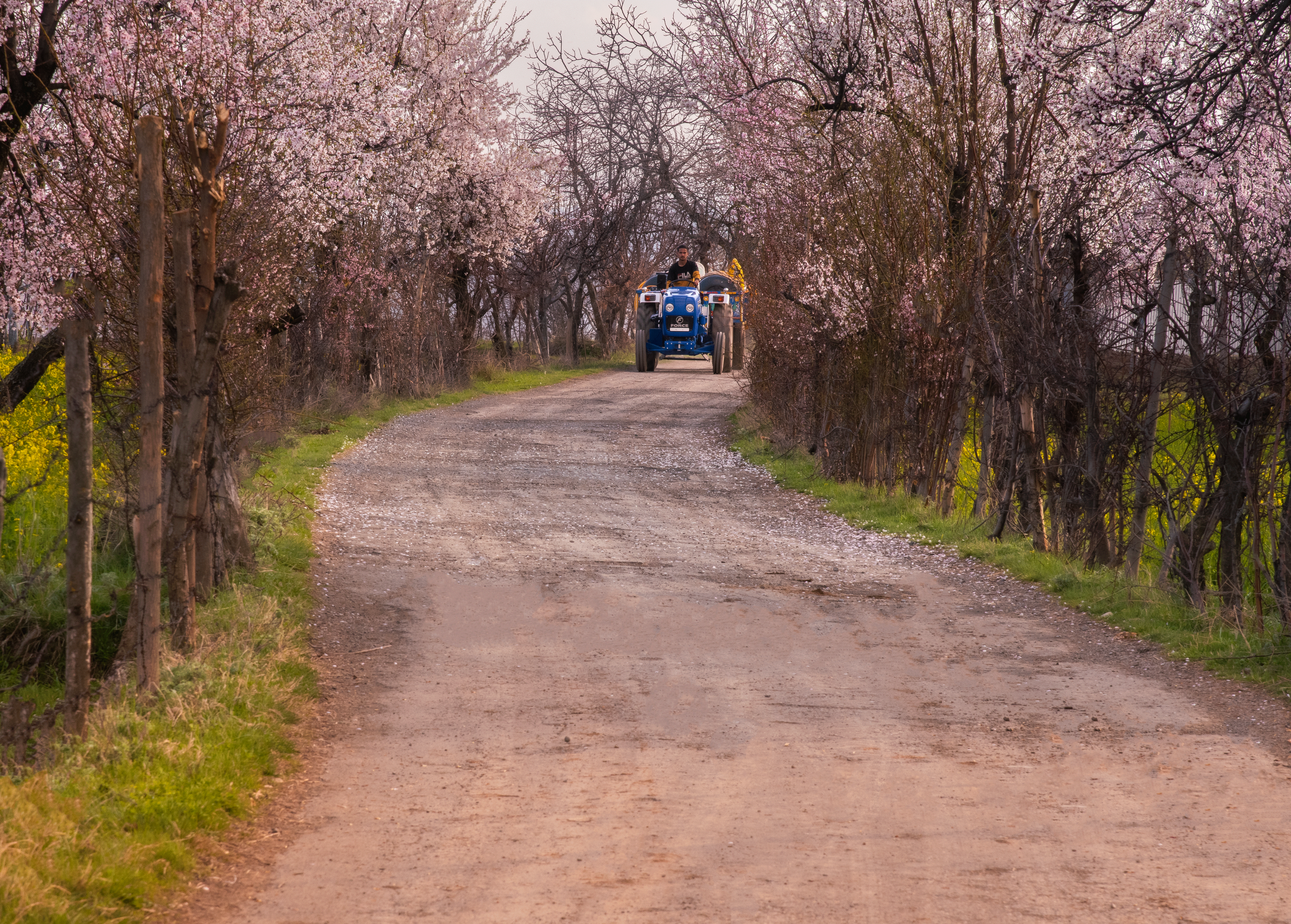 Photo of Budgam By Shahid Shah