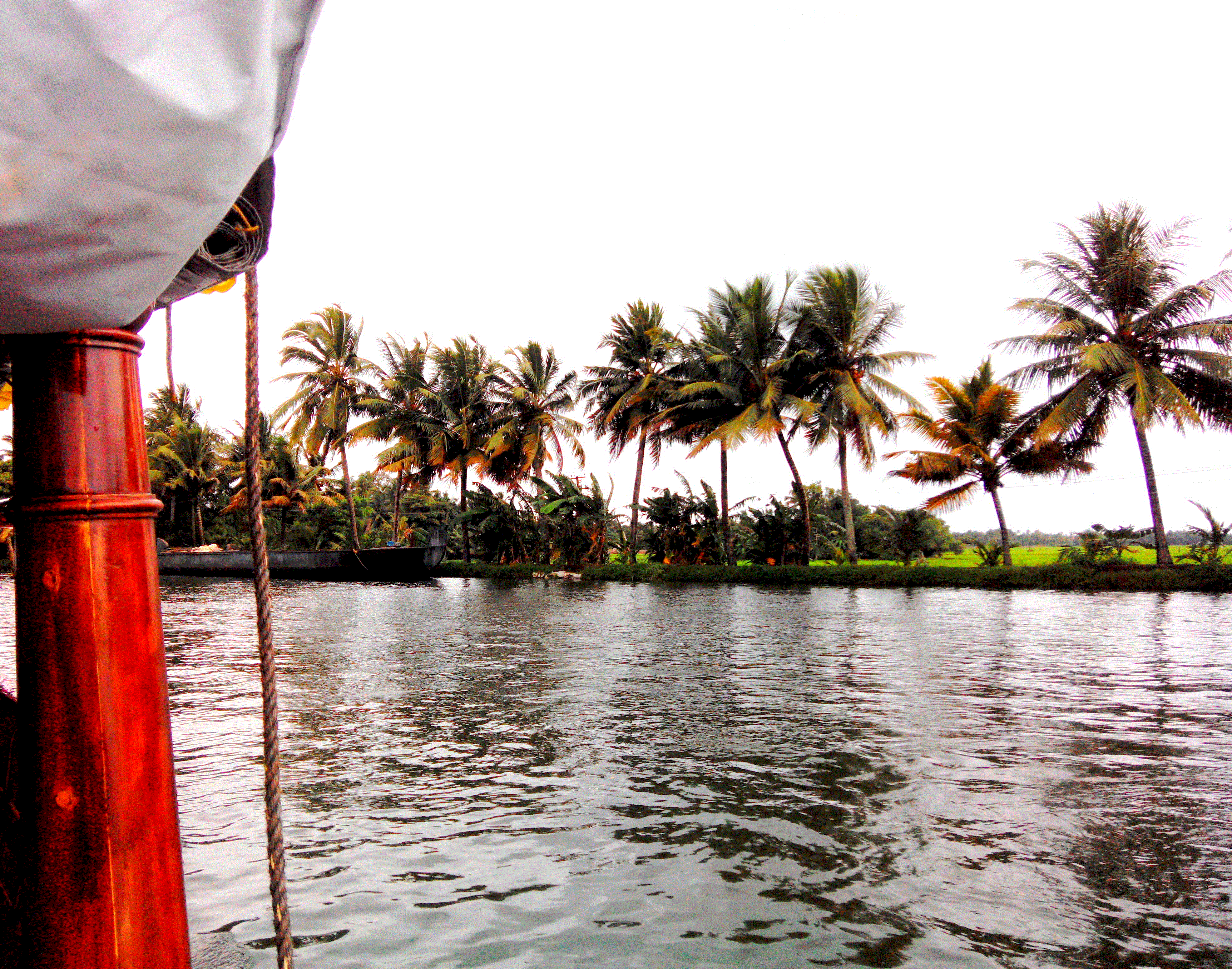 Photo of Quaint and serene Athirapilly and Allepy 14/23 by Gayatri
