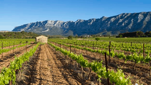 Photo of How Provence changed the world of art 1/1 by Travelsito