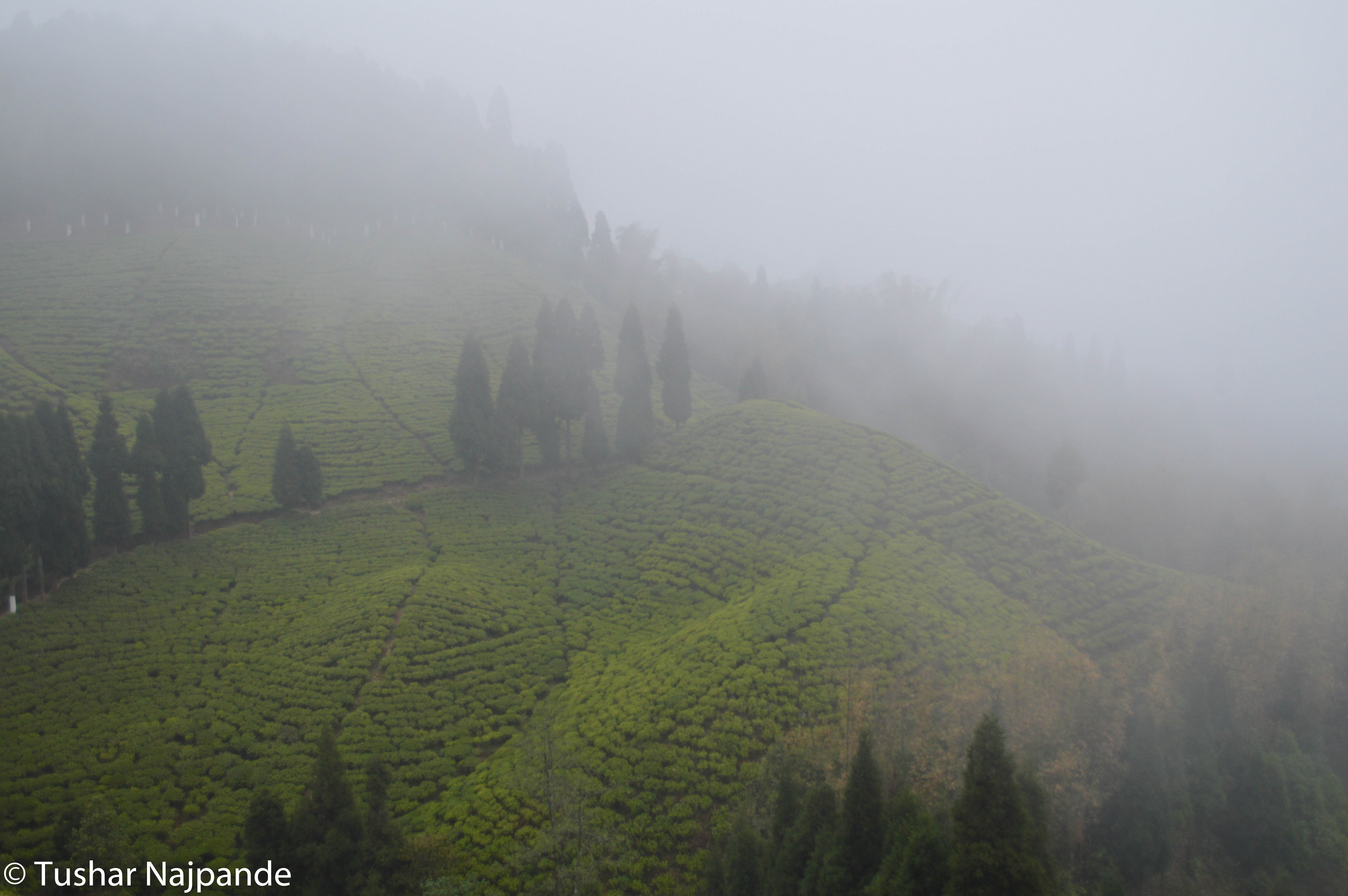 Photo of A Journey - For me By me and With Me To Tawang... 4/11 by Tusharsn