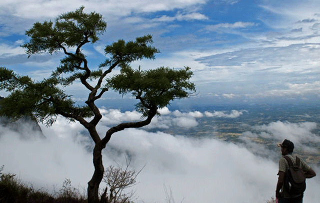 Photo of Alluring Paradise Of Palakkad: A Walk Through The Pristine Region. 2/5 by GoGeo Holidays