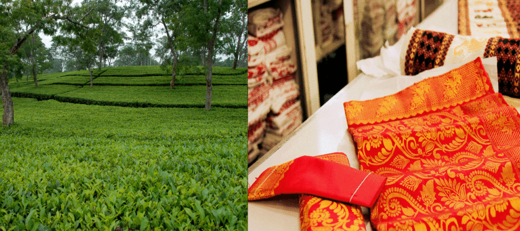 Photo of Explore the best Assam tourist places 4/12 by Nature Hunt Tours