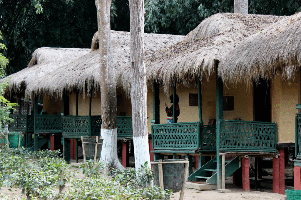 Photo of Explore the best Assam tourist places 12/12 by Nature Hunt Tours