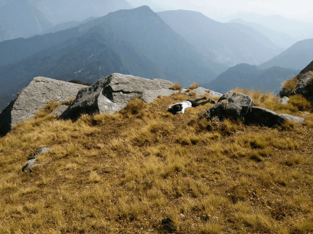 Photo of Khaliya Top, Munsyari - Thal Road, Khaliya, Uttarakhand, India by anila