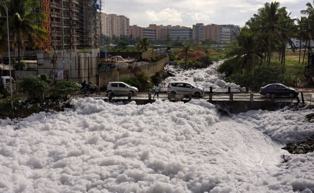 Bellandur Lake Bangalore Fire News - Tripoto