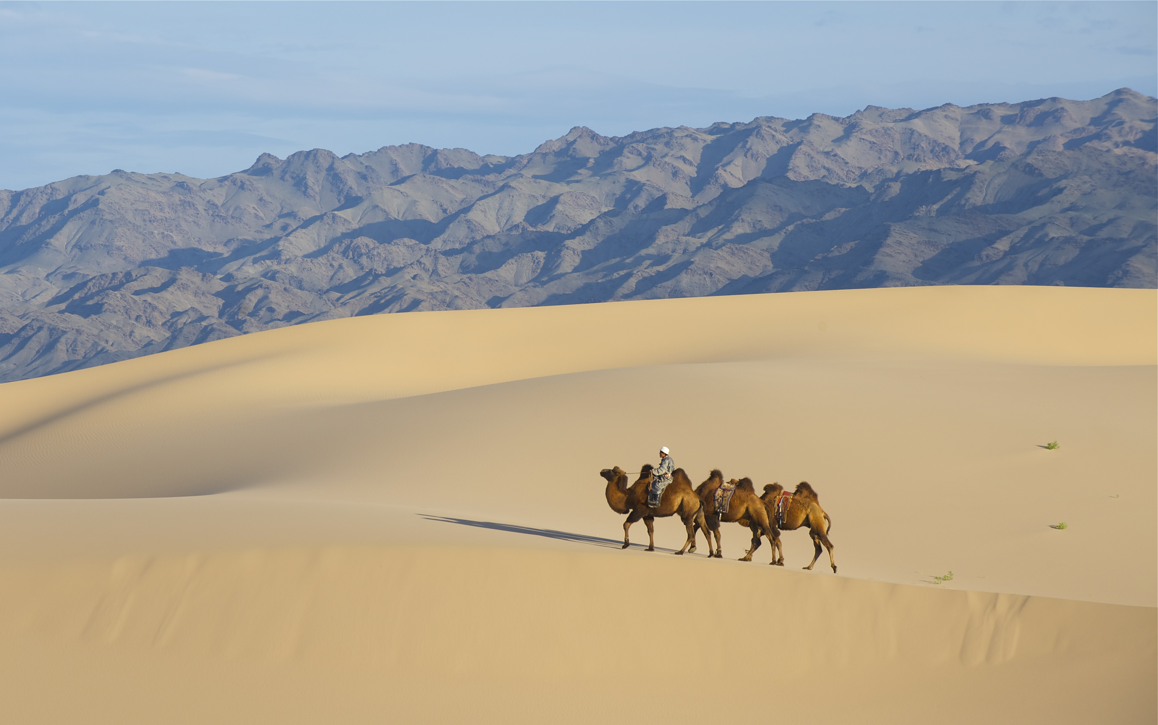 ÎÏÎ¿ÏÎ­Î»ÎµÏÎ¼Î± ÎµÎ¹ÎºÏÎ½Î±Ï Î³Î¹Î± gobi desert mongolia