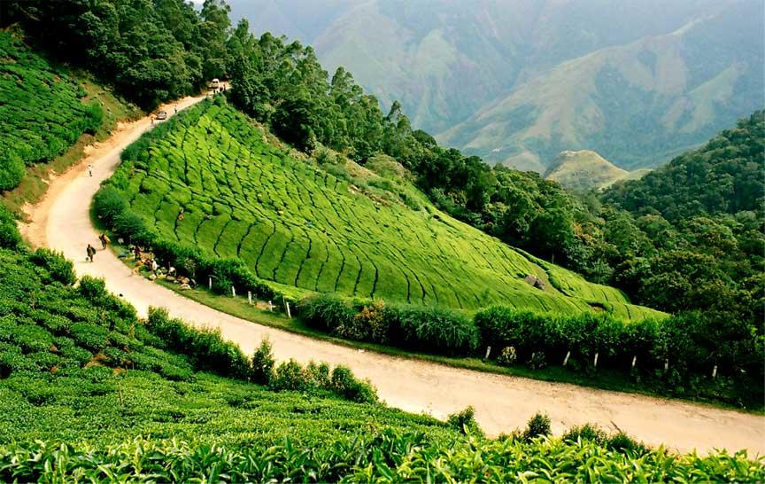 Bucket List Experience Trekking Through The Spice Plantations Of