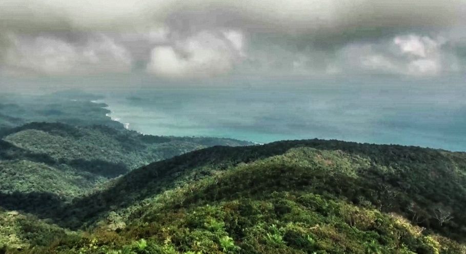 Seen the beaches Now trek to the highest peak of Andaman - Tripoto