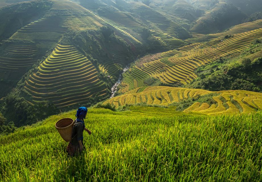 India’s first Green Village, Khonoma (Nagaland) - Tripoto