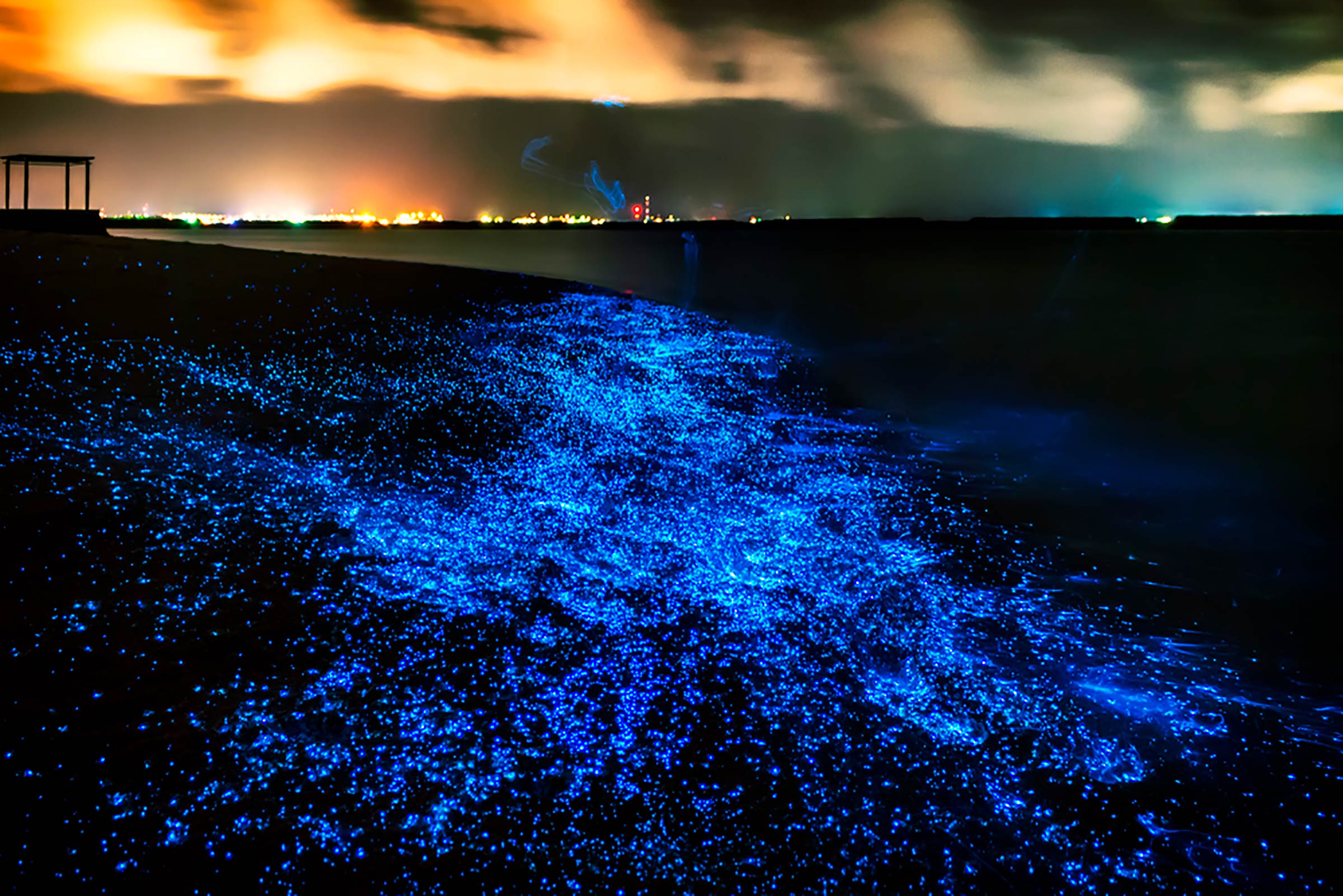 sea of stars tourist attraction in the maldives