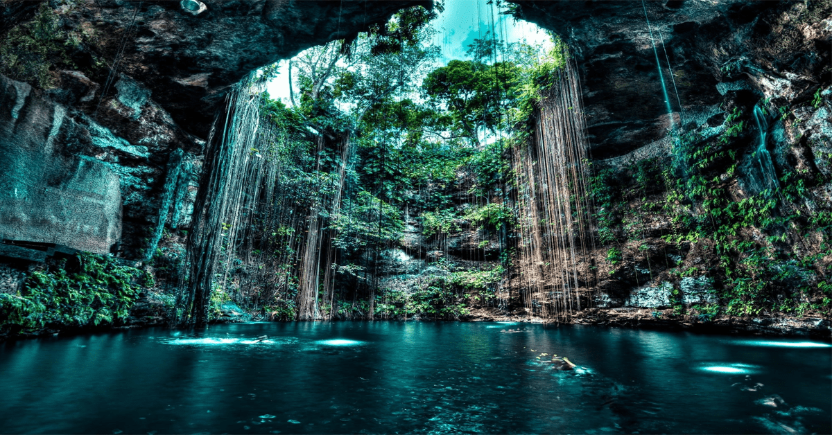 The Magical Cenotes of the Yucatan - You Have To See Them All, But 