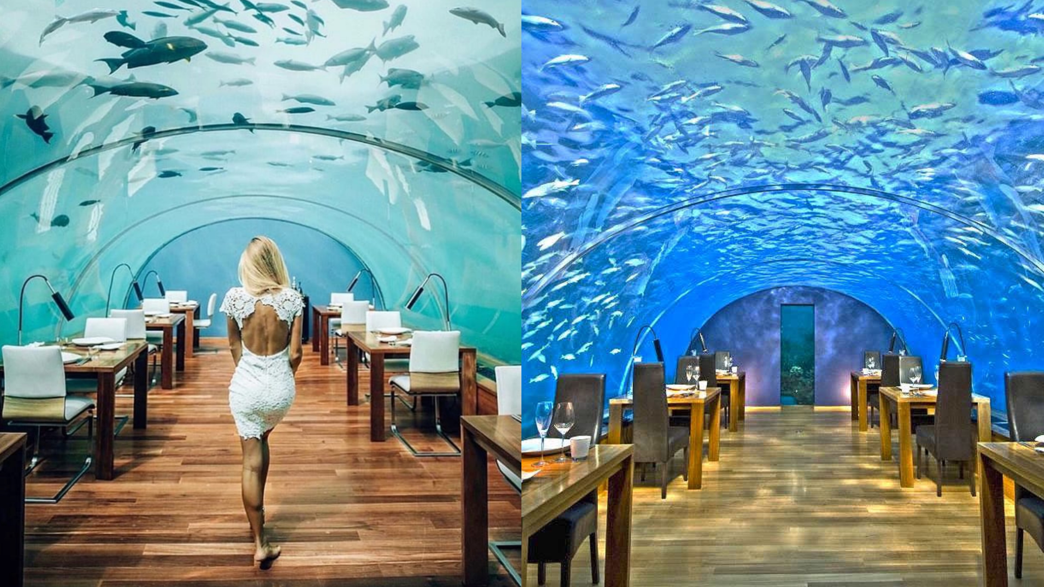 This Is What Its Like To Dine Underwater In The Maldives Tripoto   1551422755 Underwater 