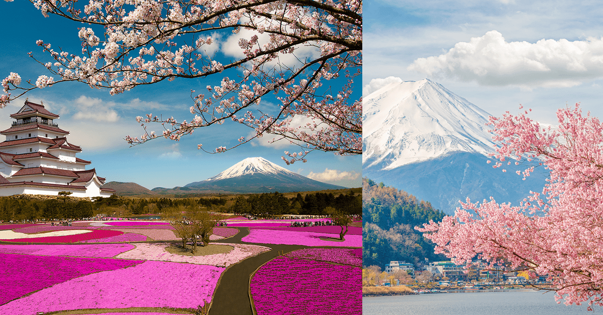 Japan Turns Pink and These Pictures Are Nothing Less Than Splendid ...