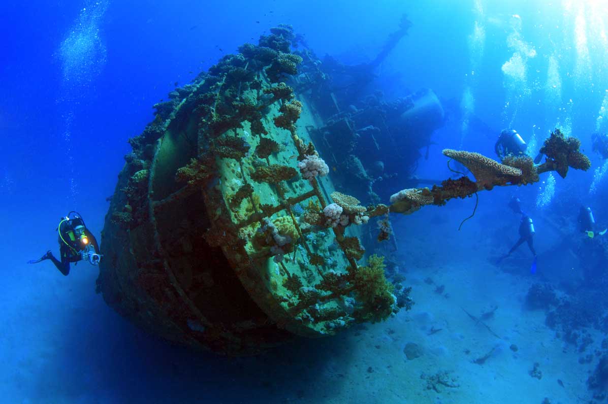 Life Below the Waters Diving the Liberty Shipwreck in Bali Tripoto